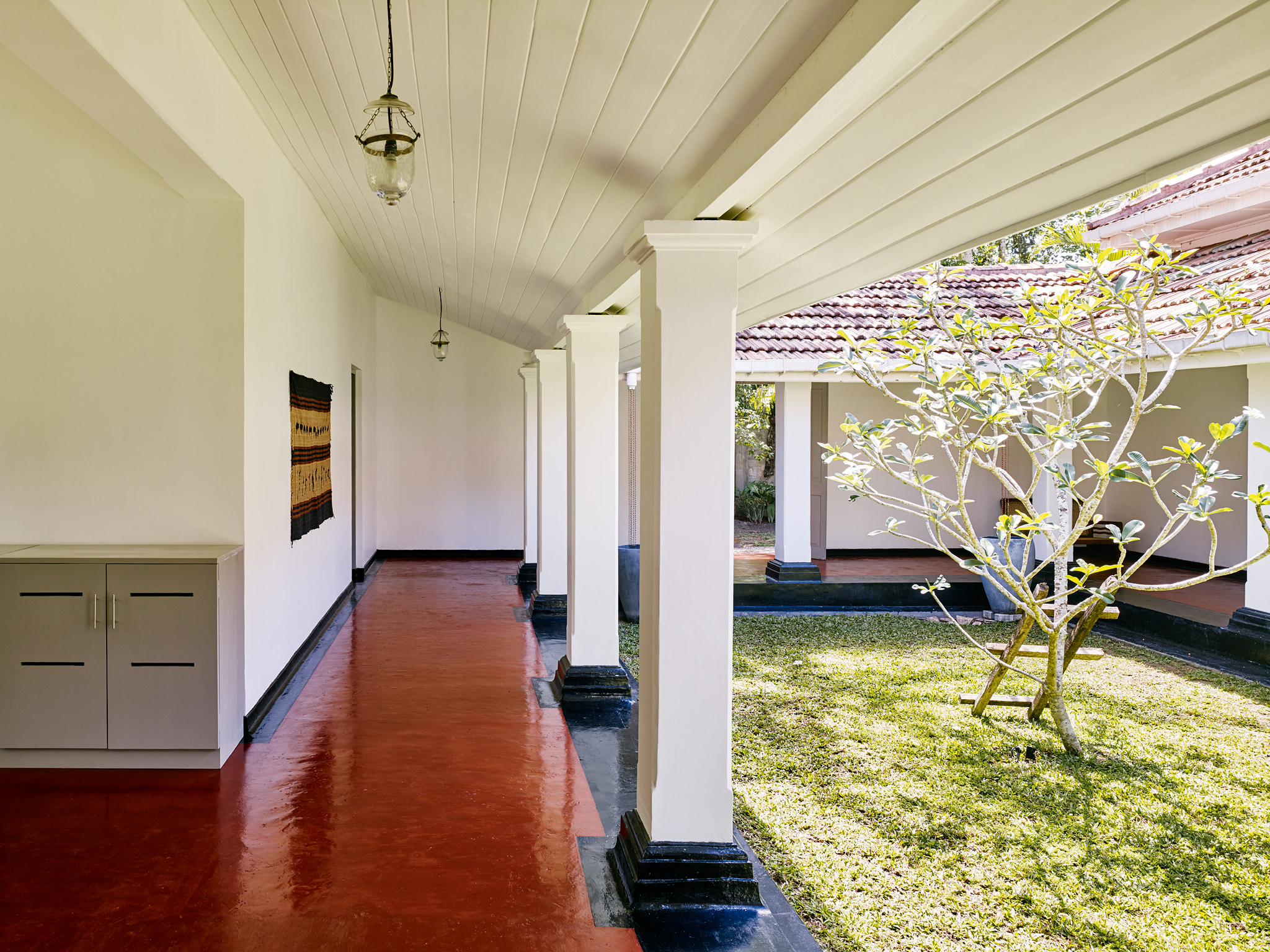 E15550 Alpa 049887 SCREEN